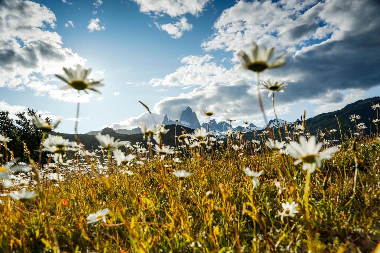 Chalten Camp - Glamping With A View El Chalten Εξωτερικό φωτογραφία